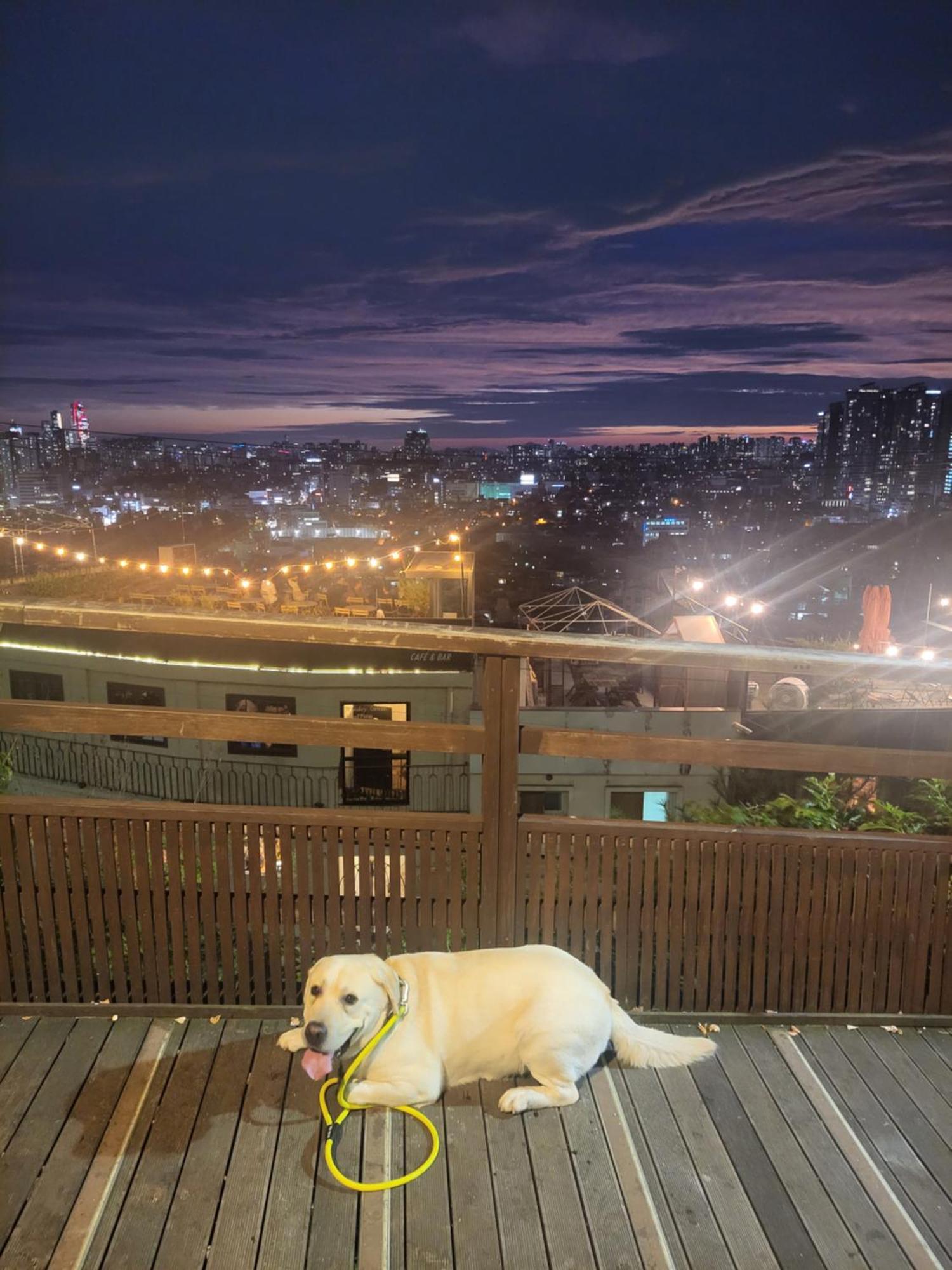 Cozy Private Home Newly Renovated #3 Seoul Exterior photo