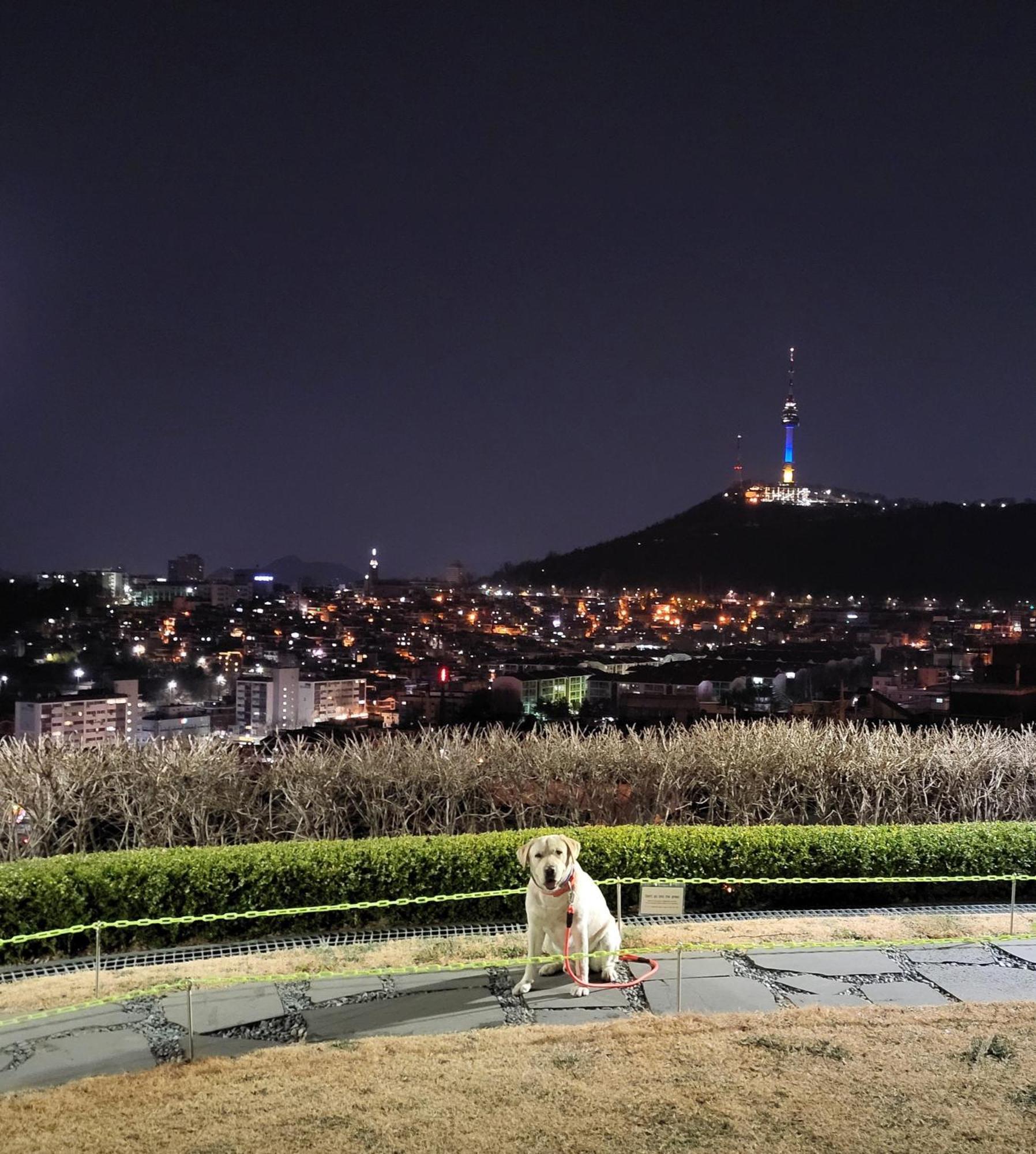Cozy Private Home Newly Renovated #3 Seoul Exterior photo